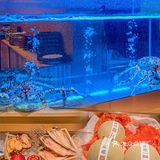 一蟹多吃，蟹肉料理界的天花板[礼花]