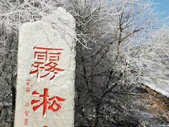景点-雾凇岛