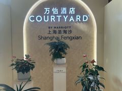-上海圣淘沙万怡酒店