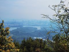 -阳台山森林公园