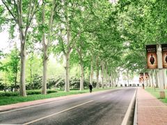 -河南省黄河迎宾馆