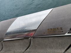 -星光大道
