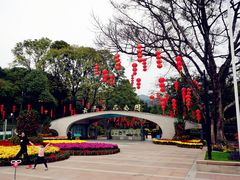 -云溪植物园