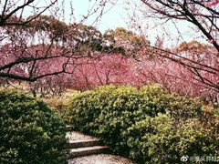 -无锡梅园公园
