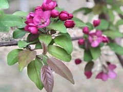 -元大都城垣遗址公园