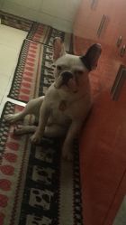 -青禾造型&刺青