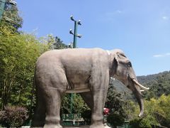 -栾川竹海野生动物园