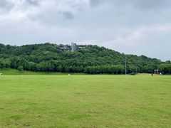 -羊山湖公园