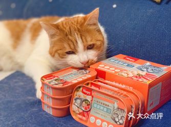 在家吃吃喝喝养膘的日子