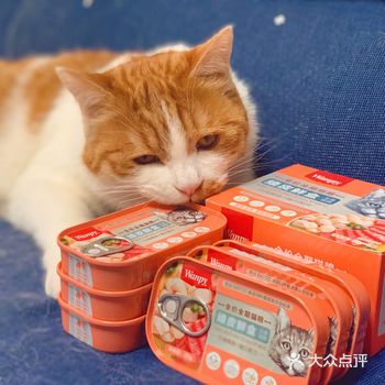 在家吃吃喝喝养膘的日子