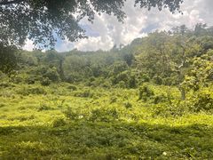 -福建鲤鱼洲酒店