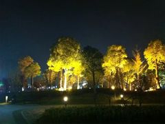 -桐乡植物园