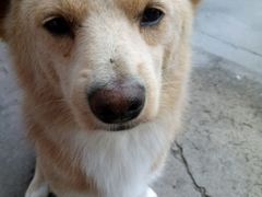 -苏宁影城(溧阳平陵广场店)