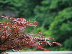 -长谷洞天