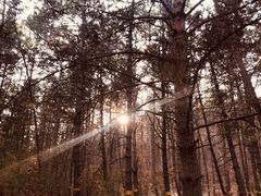 -帽儿山国家森林公园