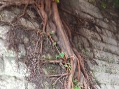 -重庆十八梯传统风貌区