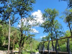 -白水寺森林公园