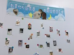 -瑞派新吉太郎宠物医院·重症转诊中心·泌尿道(嘉禾望岗院)