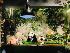 -永无乡旅行餐吧(京溪店)