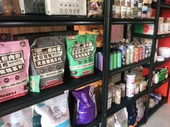 -喵百万·布偶·蓝金金渐层英短·猫舍(百子湾店)