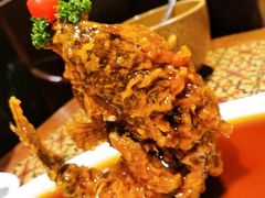 糖醋鲤鱼-城南往事·鲁菜济南菜(软件园美莲广场店)