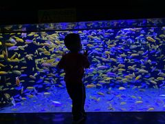 -成都浩海立方海洋公园