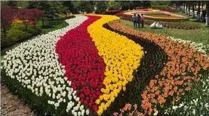 -上海滴水湖皇冠假日酒店