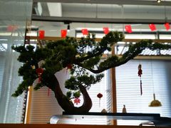 景观位-兴仙饭店·闽味海鲜(马尾总店)