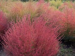 -雍沪里·沪湘融合菜( 康桥店)