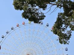 -温州乐园