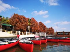 -上海海湾国家森林公园