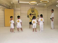 -勇气斑马·巴西柔术&跆拳道(浦东三林店)