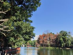 -荔湾湖公园