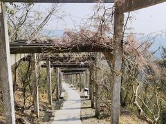 景点-缥缈峰景区