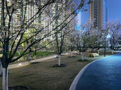 -西北湖绿化广场