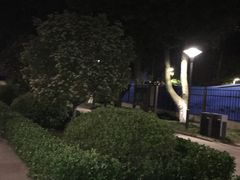 -泰州凤城河风景区-泰山公园