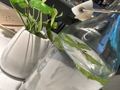 -春树下·树屋花房西餐厅(罍街AS1980店)