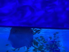 -常州海昌海洋探索馆