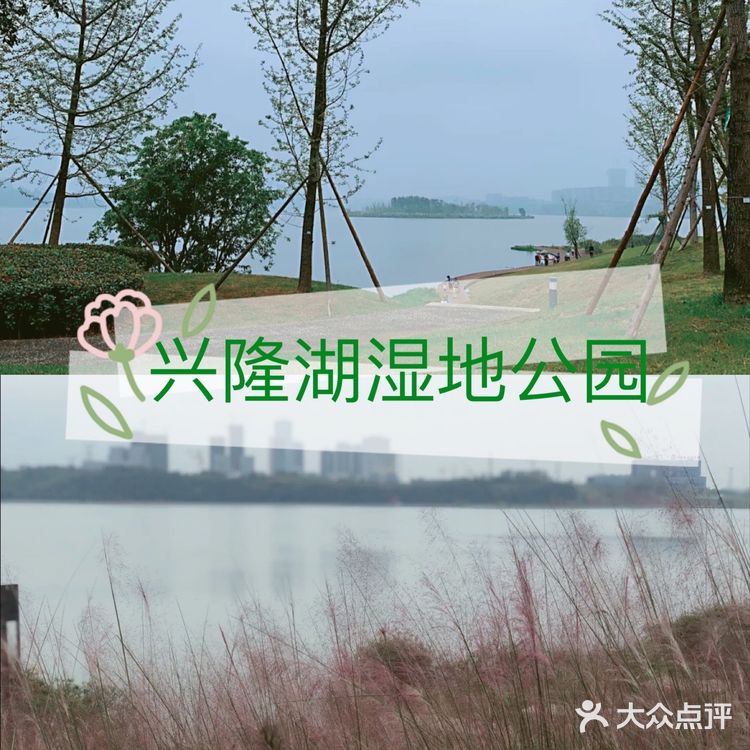 成都旅游攻略丨美好的湿地公园介绍给美好的你