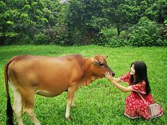 -松山湖南湖湾露营营地