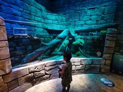 -沈阳海洋探索中心