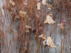 景点-南海子公园