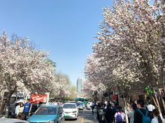 -陆壹捌餐厅(五大道店)