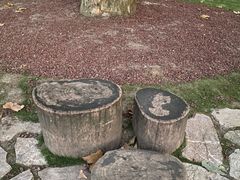 -中山公园