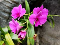 -古龙峡云天玻霸