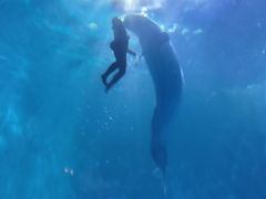 -多彩贵州城极地海洋世界