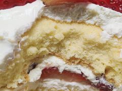 -喜杨洋草莓采摘园