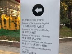 -三里屯东五街银杏大道