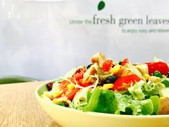-Miss Fresh轻食(南京西路店)
