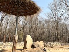 -北京野生动物园